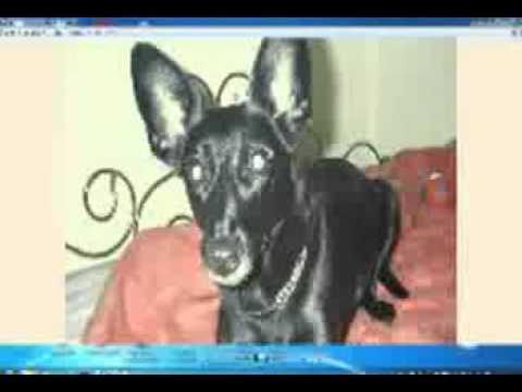 MIX-195 - Tristan+Trippy,Koan, Skyfall,Red Sun,Sideform,u.v.a.(MIX SET BY DJ HELMIC - 08.01.2016)