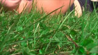 elokuu-saatilla (Kannus edition)