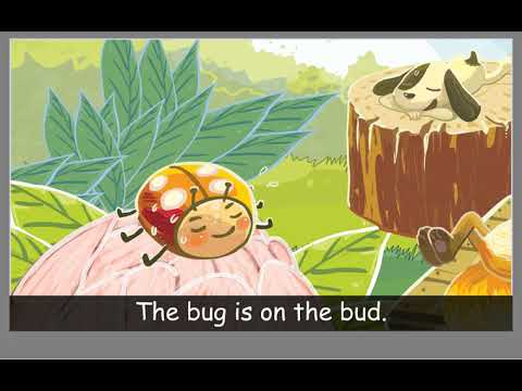 EFL Phonics 2 Review 2 Story - Short Vowels e o u