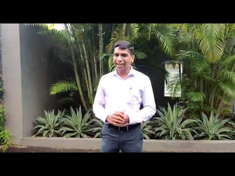 Leadership from Snow White & Seven Dwarfs