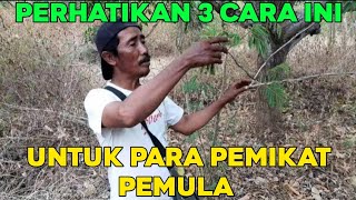 Download lagu TIGA HAL YANG HARUS DIPERHATIKAN DALAM MEMIKAT BURUNG mp3