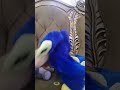 Nightmare Bonnie Huggy Wuggy Sonic