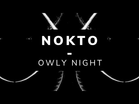 Nokto - Owly Night