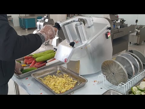 Multi Function Vegetable Cutting Machine (Table Top)