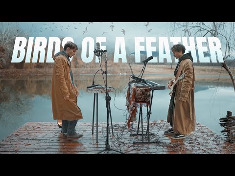 Live Looping cover of Billie Eilish Birds of a Feather - By TuralTuranX