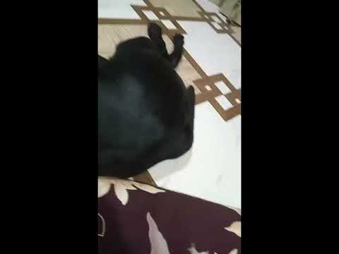 💛💜❤️💛💜❤️...