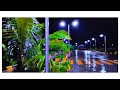 New Rani Song Bhijun Gela Wara New WhatsApp Status Marathi Song Of Romantic Rain Marath Song