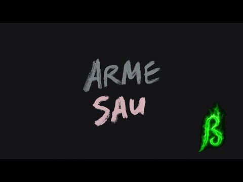 Schares S - Arme Sau