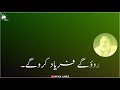 Meri Wafayen Yaad Karo Ga | Ustad Nusrat Fateh Ali khan | Urdu Lyrics | Qawali Lyrics | NFAK LINES