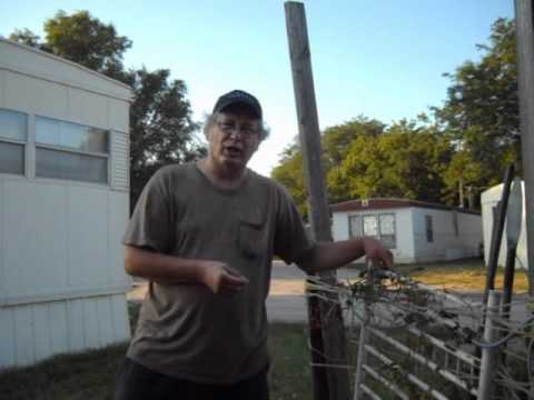 How to Get rid of a BAD Neighbor