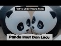 FESTIVAL PATUNG PANDA DI HONG KONG PANDA IMUT DAN LUCU MENGGEMASKAN