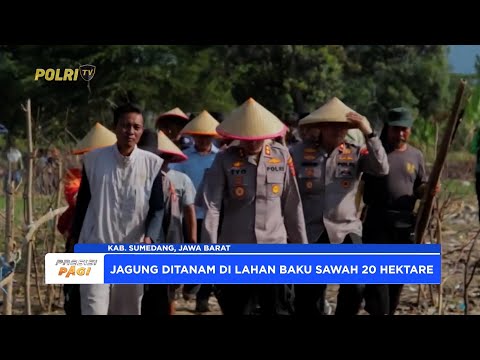 POLRES SUMEDANG LAKSANAKAN PENANAMAN BENIH JAGUNG DI LAHAN BAKU SAWAH