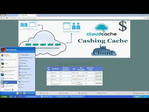 Cashing in on the Cache in the Cloud