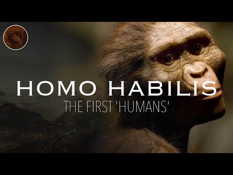 Homo Habilis: The First 'Humans' | Prehistoric Humans Documentary