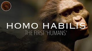 Homo Habilis The First Humans Prehistoric Humans Documentary Mp4 3GP & Mp3