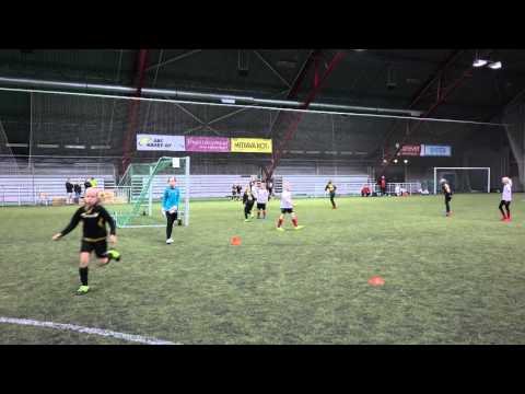 Taitokoulupelit - Maaliskuu 2016: EPS T06 - Honka T06