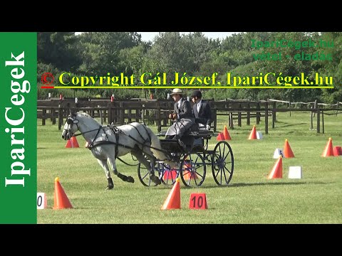 Akadályhajtás, KARSAY S., GÁSPÁR Sz., póni egyesfogat, CAN-A, Vecsés 2020, sv200906-1-005-006