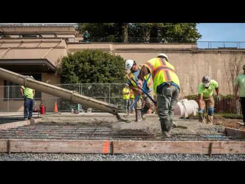 Watching the Garden Come to Life