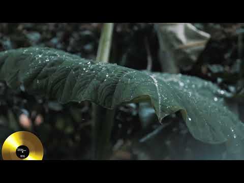 Telstar for Eurovision - Wenn der Regen fällt