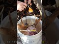Buck Skull Maceration - How to deal with the antlers  #skullcleaning #maceration #deerskullclean