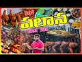 Top 5 Must Try Street Foods In Palasa Travelandeatvideos Palasa Palasa2025