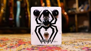 Video thumbnail for EIGHT Delays - Caline 'The Arachnid' Multi Delay CP-86 by TheSuperFunAwesomeHappyTimePedalShow