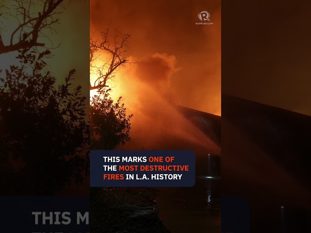 Los Angeles wildfires spread to Hollywood as 100,000 ordered to evacuate