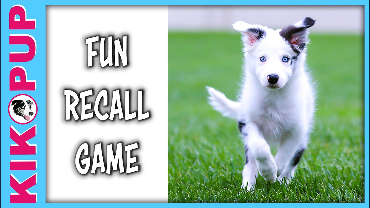 YouTube video preview