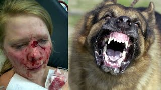 German Shepherd Attacks