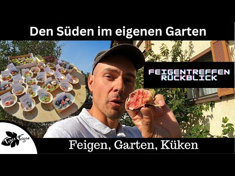 Hol dir den Süden in den eigenen Garten | Rückblick Feigentreffen | Gartenrundgang September