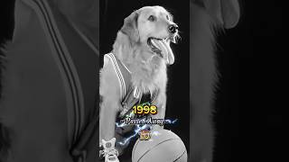 Download lagu 'Air Bud (1997) Cast Evolution - Then and Now!' #airbud #buddydog #kevinzegers #sportmovies #shorts mp3