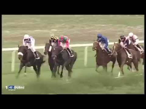 2016.10.23 Premio Ribot (ITA) - Greg Pass