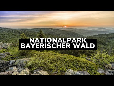Nationalpark Bayerischer Wald