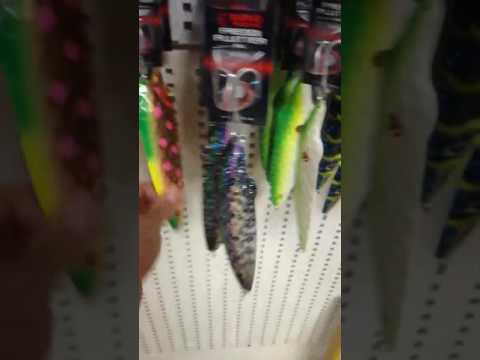 Rhino Freddi Flutter esittely