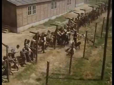 Escape from Sobibor (escape scene)
