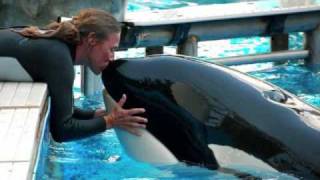 In memory of Dawn Brancheau
