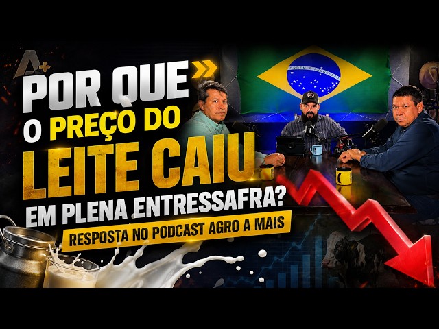 Por que o preço do leite caiu em plena entressafra? Resposta no Podcast Agro A Mais.