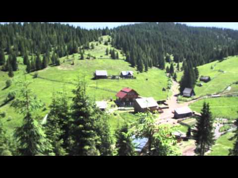 Poiana Horea, jud. Cluj