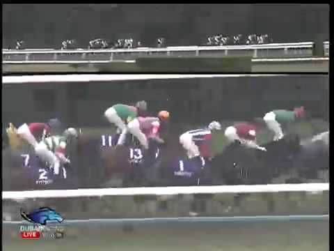 2013.11.10 Queen Elizabeth II Cup - Meisho Mambo