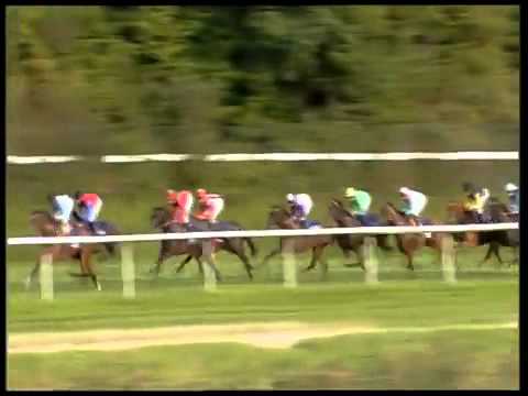 Baden-Baden: Mercedes Benz Stuten-Preis, Gr.3. Siegerin: FEBUARY SUN (I.Mendizabal)