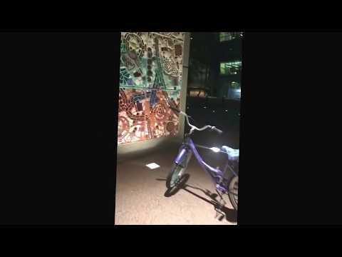 Real bitch ****i dont own copyrights*** Te Money ft Too Short Downtown Phoenix, AZ