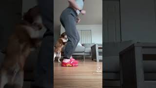 KACHOW⚡️ insta: ariee.cocottee twitch: Cocottee_ #shorts #crocs #flashmcqueen #cars #kachow #drole