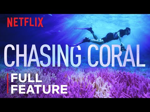 , title : 'Chasing Coral | FULL FEATURE | Netflix'
