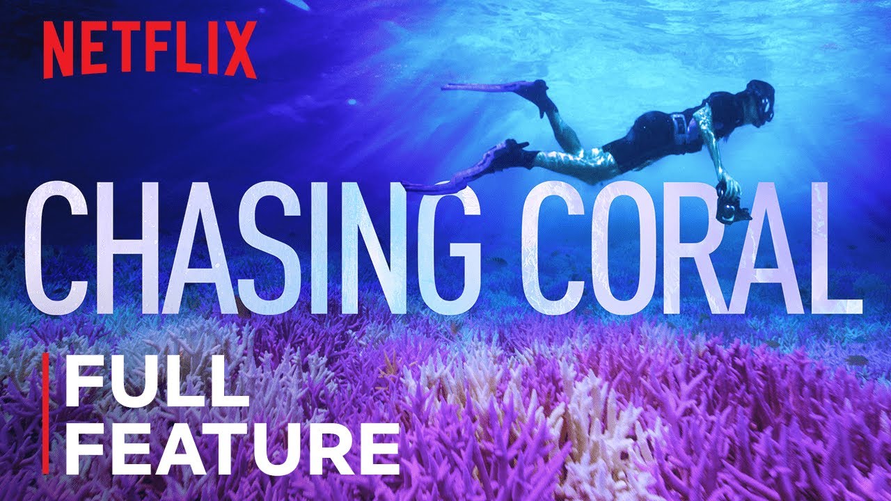 Chasing Coral | FULL FEATURE | Netflix