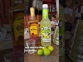 How To Make A MARGARITA How Did You Like The Margarita Drinks