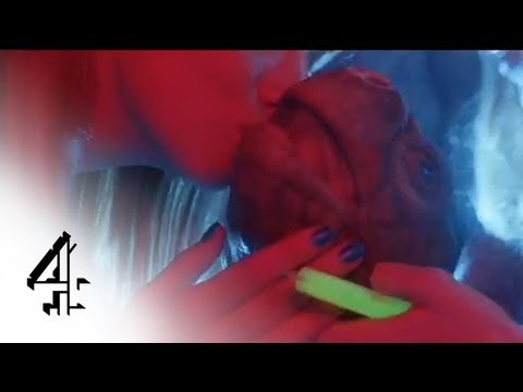 Mating Season | Arthur gets lucky | Coming Soon to Channel 4