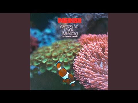 Sequoia (Live at L’Ancienne Abbaye Saint-Léger)