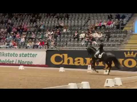 Total Hope OLD and Isabel Freese