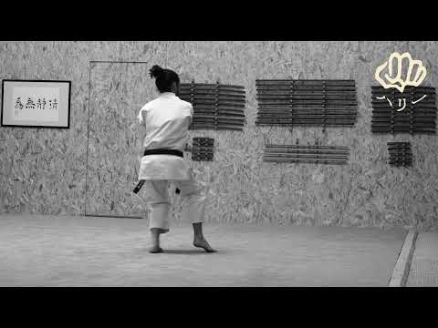 Pinan Shodan [Karaté Shito-Ryu Shukokaï] - Hary Randrianarisoa