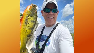 Peacock Bass Fishing in South Florida